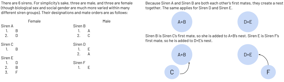 A diagram which reads 'There are 6 sirens. For simplicity’s sake, three are male, and three are female (though biological sex and social gender are much more varied within many different siren groups). Their designations and mate orders are as follows:' Below this are two columns. The first, 'FEMALE' has Siren A (1. B, 2. D), Siren C (1. B), and Siren E (1. D, 2. B, 3. F). The second column, 'MALE' has Siren B (1. A, 2. C), Siren D (1. E, 2. A), and Siren F (1. E). To the left it reads 'Figure 2. An explanation of relationship dynamics within a clutch' with two circles (A+B, D+E). Below that it says 'Siren B is Siren C’s first mate, so she is added to A+B’s nest. Siren E is Siren F’s first mate, so he is added to D+E’s nest.' The same circles are drawn again, with a circle 'C' pointing to 'A+B' and a circle 'F' pointing to 'D+E'