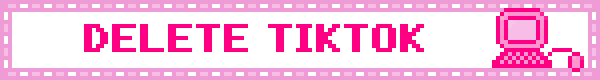 a white pixel art blinkie with a pink border with light pink and white dots alternating. there is a pink computer on the right of dark pink text that reads 'DELETE TIKTOK'